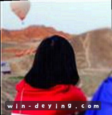 陈飞